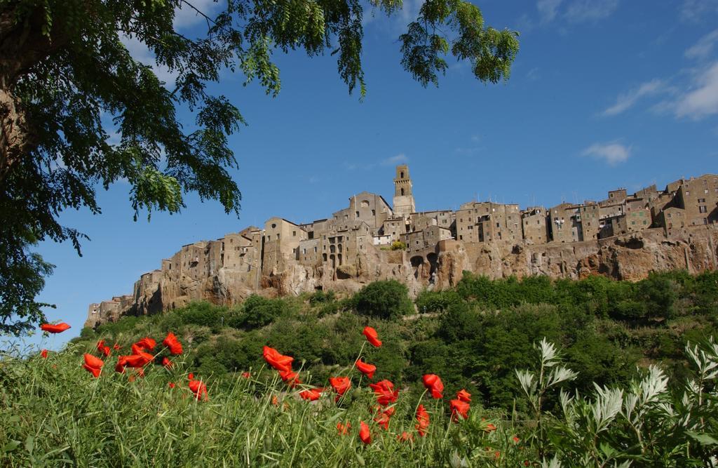 Casa Marta Villa Pitigliano Rum bild